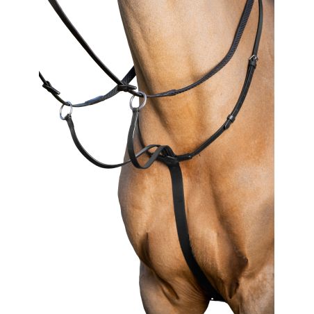 Ringmartingal LeMieux Arika