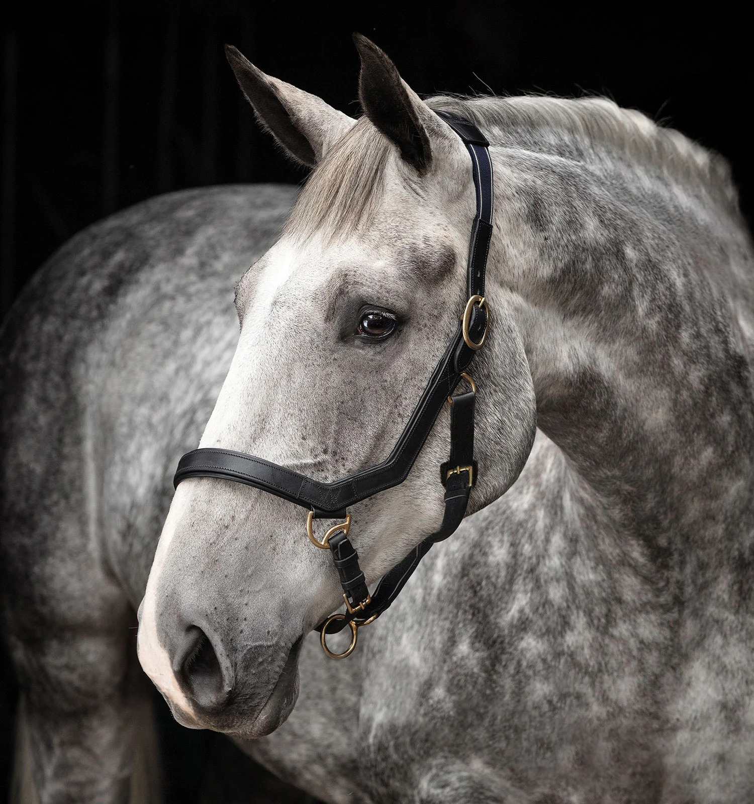 Rambo Micklem Halfter Horseware