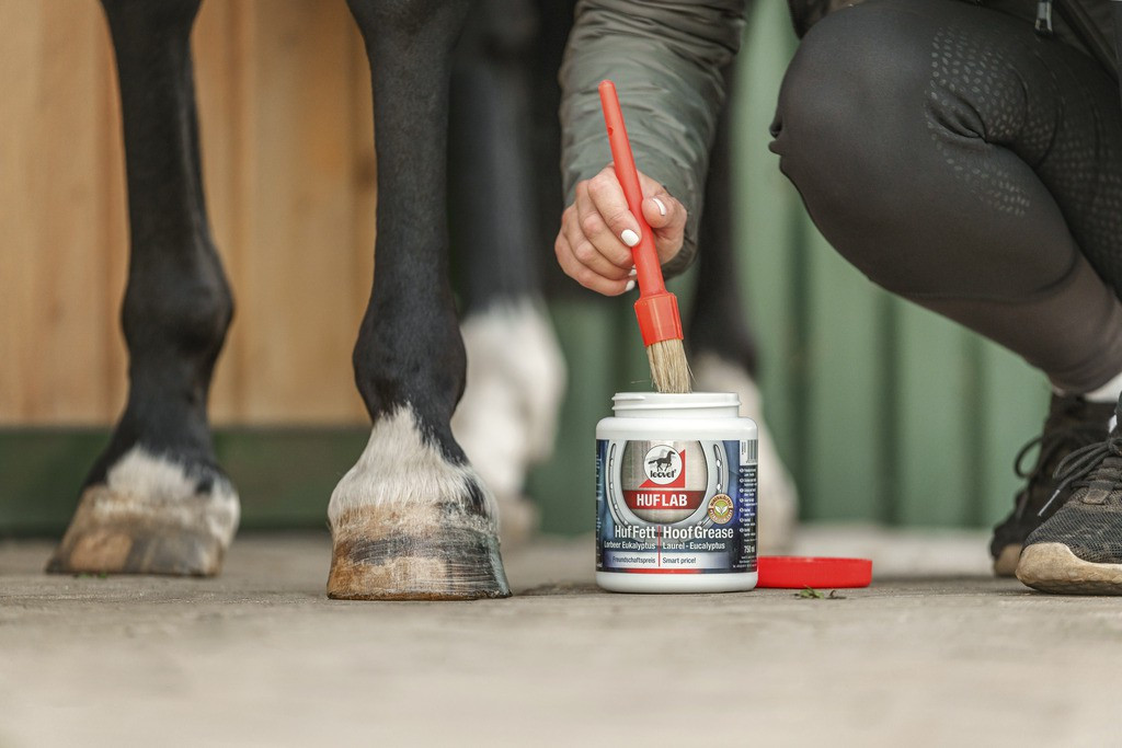 Onguent naturel Leovet Huf Lab avec pinceau