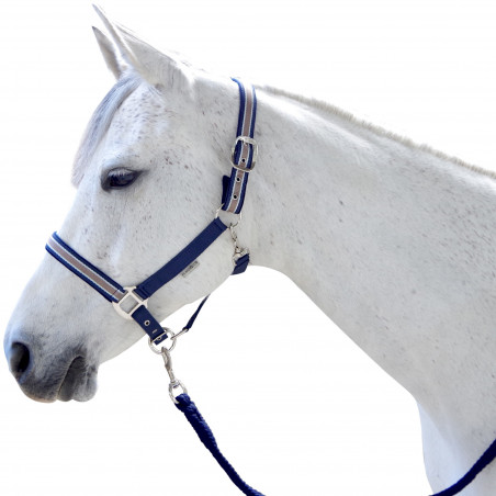 Set Halfter und Longe Doulovo Flags & Cup