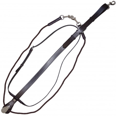 Martingal Howlett Seil Canter