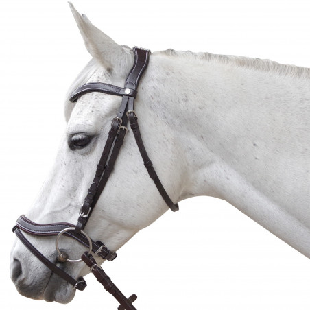 Trensenzaum Canter Baloubet