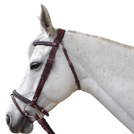 Trensenzaum Flags & Coppa Aachen