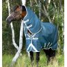Pferdedecke Horseware Amigo AmEco 12 Plus 0g - Blaugrün / Grau