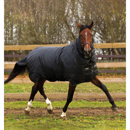 Horseware Trot Plus Decke mit Halsteil 350g