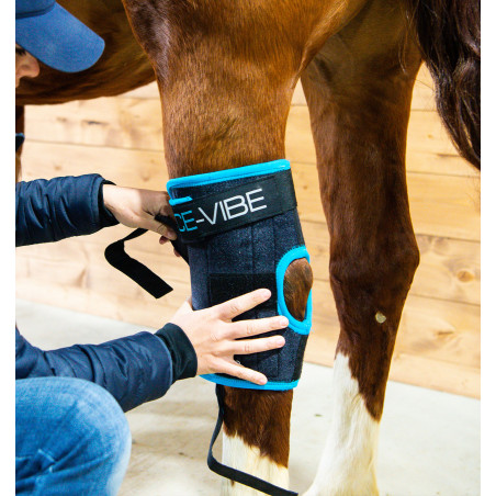 Gamaschen Horseware Ice-Vibe