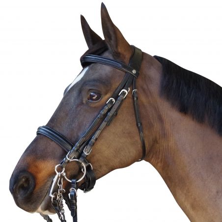 Trense Rückzug Euro Canter