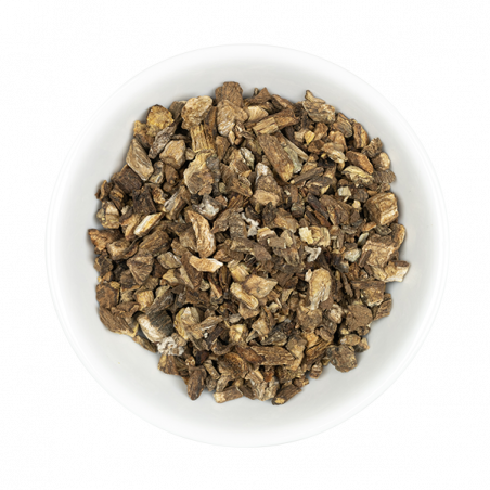 Klette Wurzel Hilton Herbs