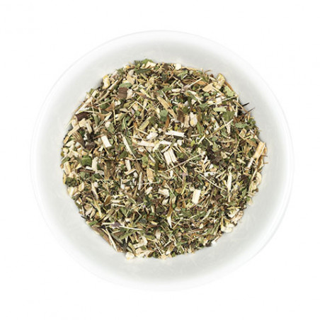 Echinacea ganze Pflanze Hilton Herbs