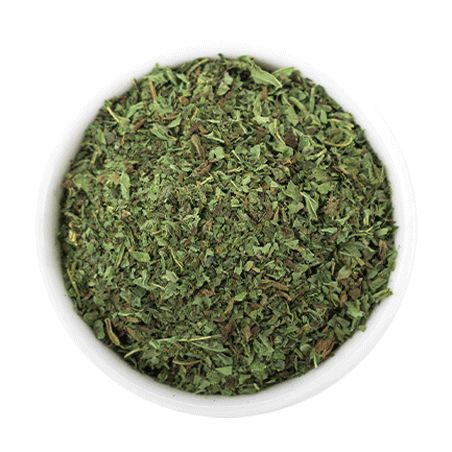 Minze Pflanze Hilton Herbs