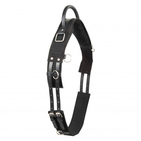 Longiergurt Imperial Riding Vito