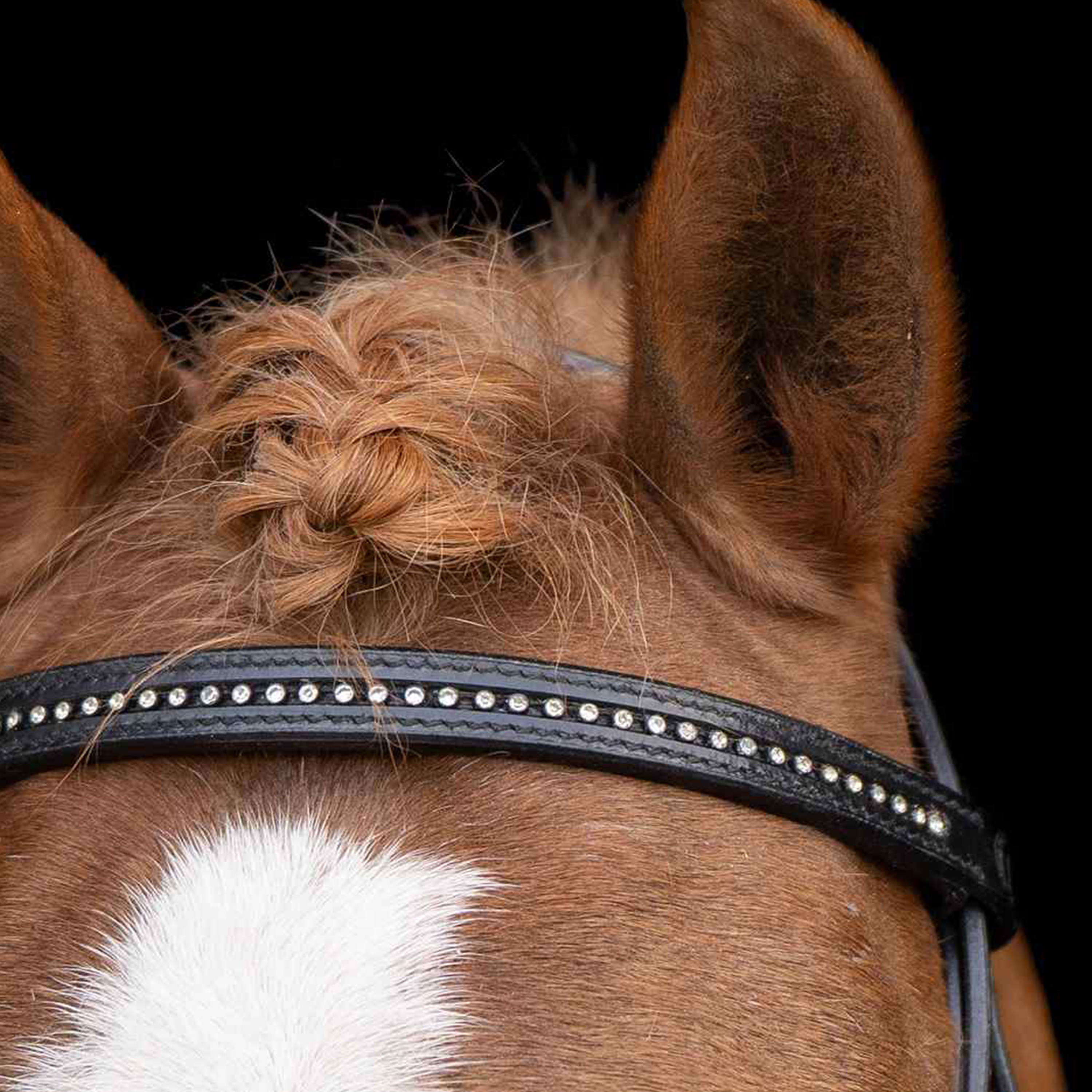 Trensenzaum Shetland Imperial Riding Stormy Schwarz / Kristall