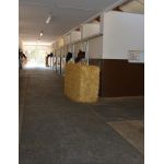 Delta Diam 16mm - Allee, Führstrick, Solarium