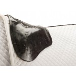 Stoßdämpfer und Vorderer Acavallo Gel Riser