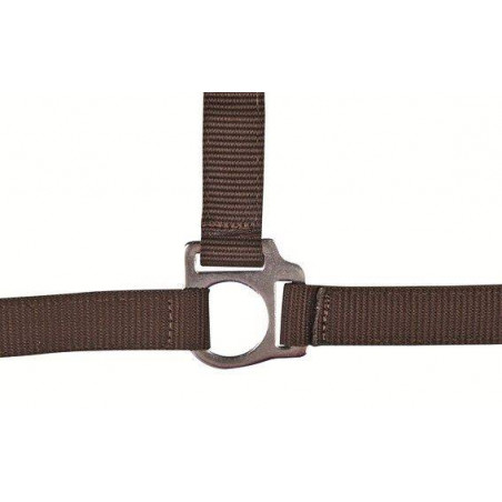 Halfter Stars Economy HKM