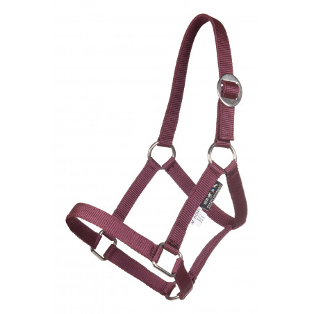 Minishetty Halfter HKM