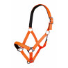 Halfter Stars Softice weiches Futter HKM - Neonorange