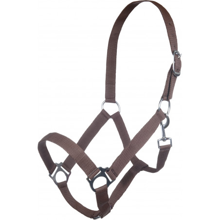 Halfter Innsbruck HKM