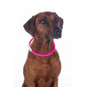 LED-Leuchthalsband für Hunde HKM - Pink