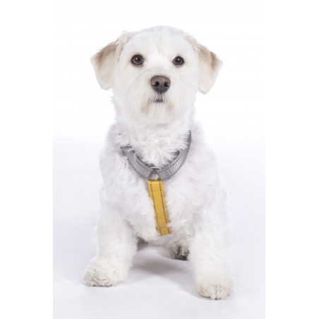 Hundegeschirr Anam Cara Basic Nylon HKM