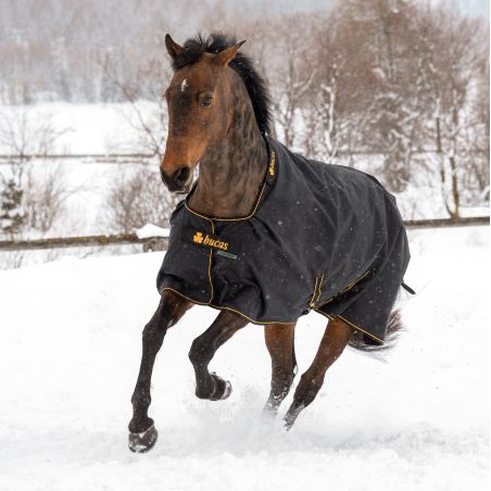 Bucas Irish Turnout Light 50g Decke mit Halsteil