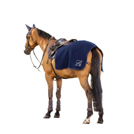 LeMieux Clima-Tek Nierendecke