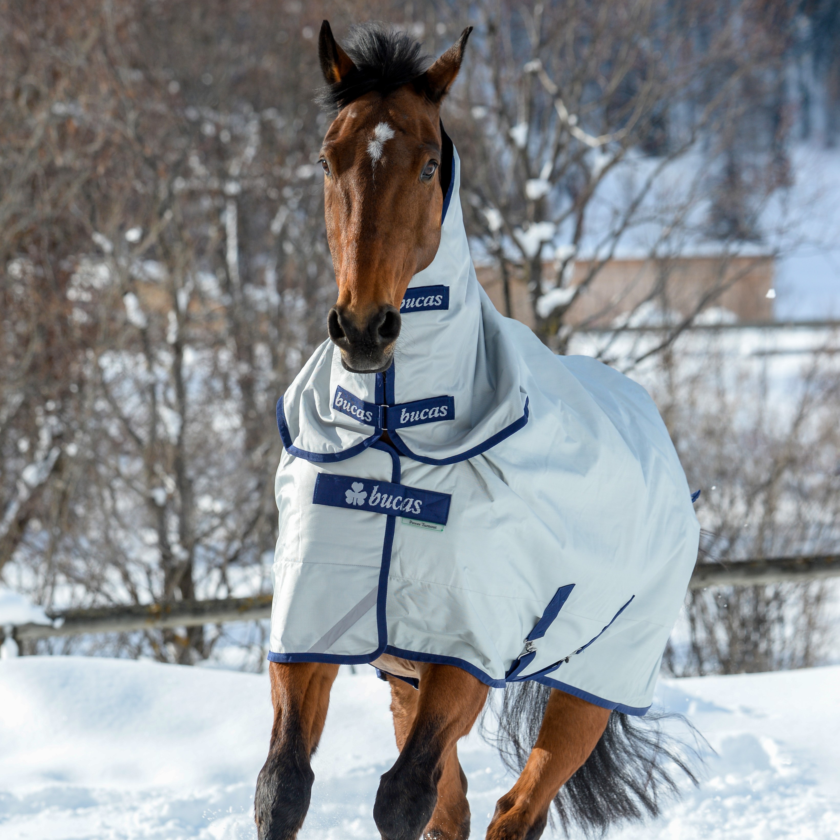 Halsdecke Bucas Power Combi Neck 300 g Silber Halsdecke Bucas Power Combi Neck 300 g Silber