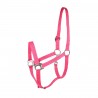 Halfter Basic Horze - Himbeere