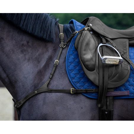 Anatomisches Martingal Dy'on D Kollektion