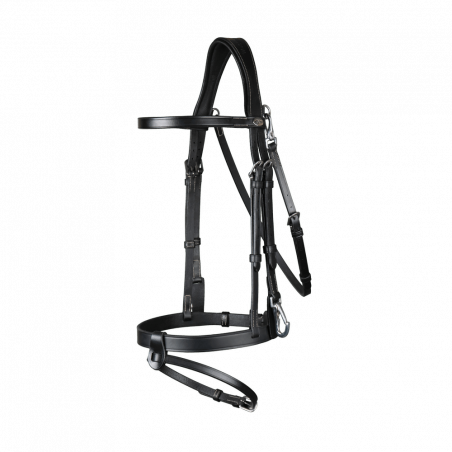 Plattes Lederzaumzeug mit Karabinern Working by Dy'on