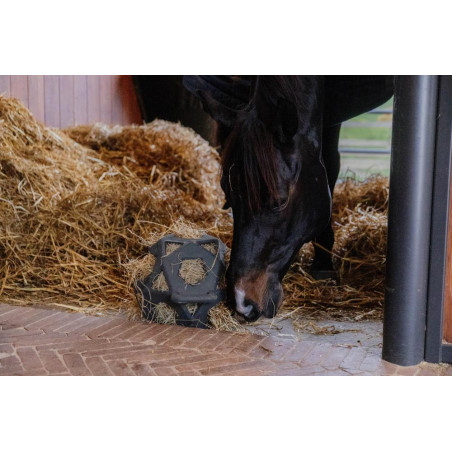 Spielball / Heuball Kentucky