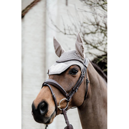 Mütze Wellington Basic Samt Kentucky