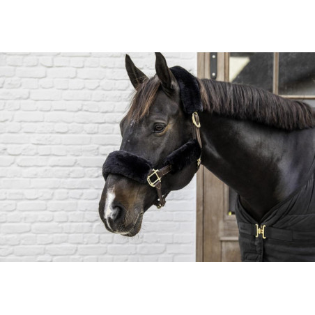 Schafsfell-Schoner für Halfter 4-teilig Kentucky