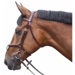 Bridon Lexington Austin Kreuzung