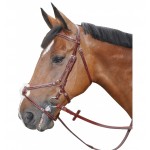 Bridon Lexington Denver Kreuz