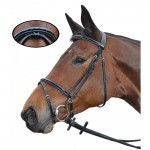 Trense Nice Kombiniert Privilege Reitsport