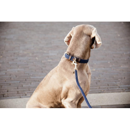 Hundeleine Geflochtenes Nylon 120 cm Kentucky