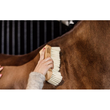 Weiche Borstenbürste Kentucky