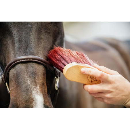 Mittellanger Stopfen Kentucky