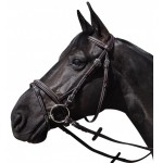 Wellington-Kombinationsgebiss Flags & Cup