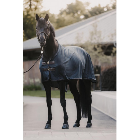 Fliegendecke Kentucky