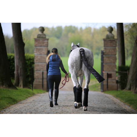 Amerikanische Kentucky-Bandagen