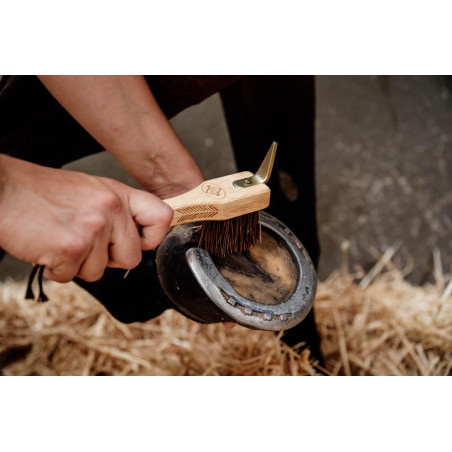 Hufauskratzer Kentucky