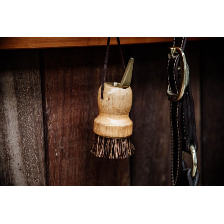 Kleiner Hufkratzer Kentucky