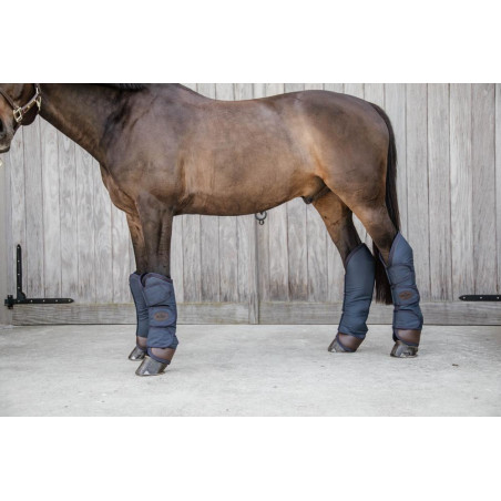 Transportgamaschen Kentucky