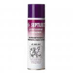 Antiseptische Sprühdose Septiject