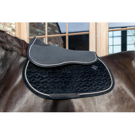 Absorberdämpfer Kentucky