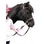 Erziehungszaum Canter Shetland