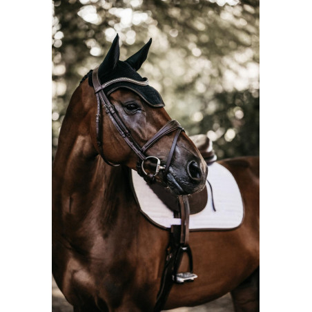 Wellington-Lederhaube Kentucky