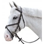 Gekreuzter, abgesteppten Canter-Trensenzaum